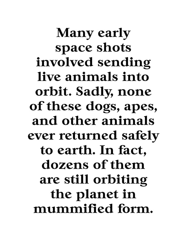 The Graphic Society: Peanuts are one of the Ingredients of Dynamite