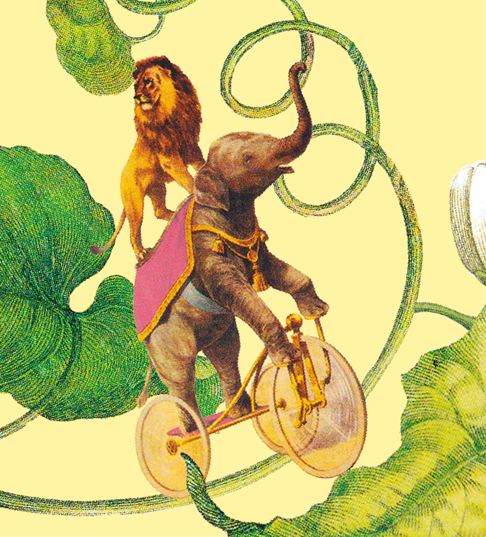 The Graphic Society: Weingut Jungmayr
