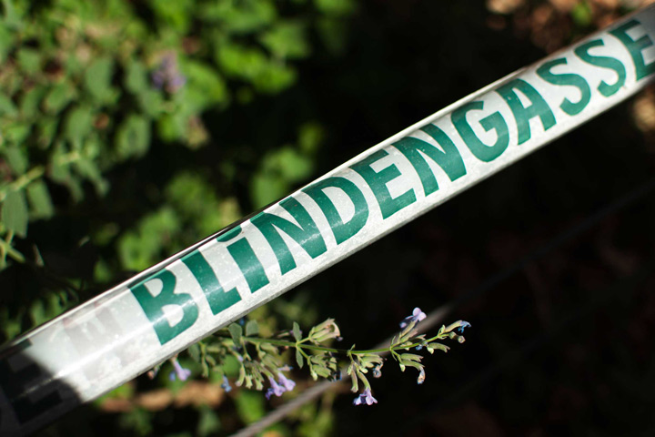 The Graphic Society: Gesunde Blindengasse