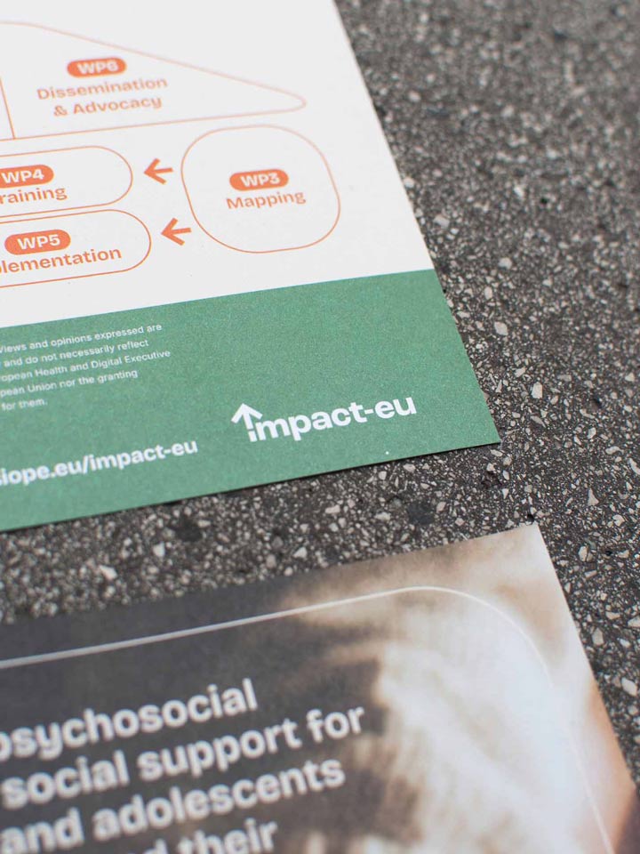 The Graphic Society: Impact-eu