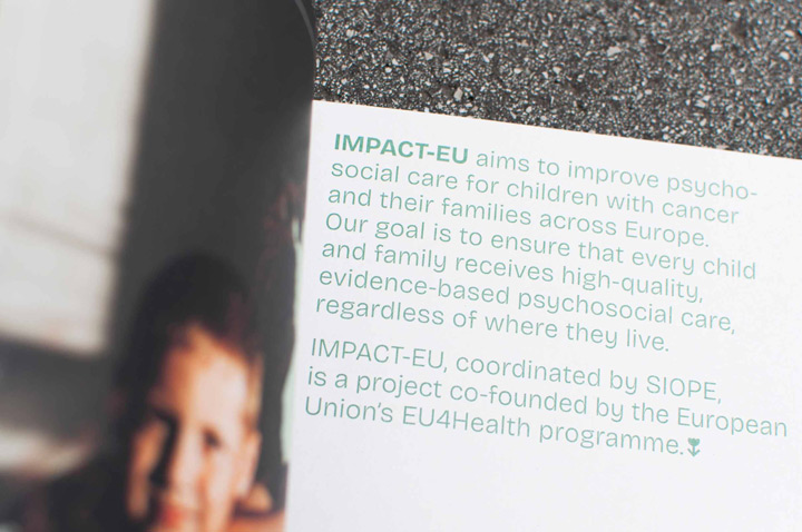 The Graphic Society: Impact-eu