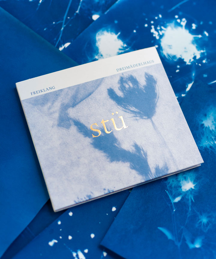 The Graphic Society: Titelbild stü