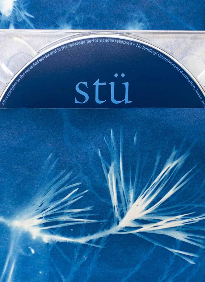 The Graphic Society: stü