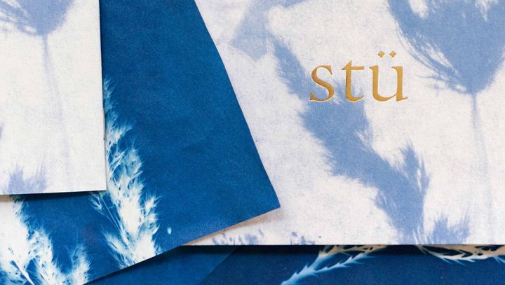 The Graphic Society: stü
