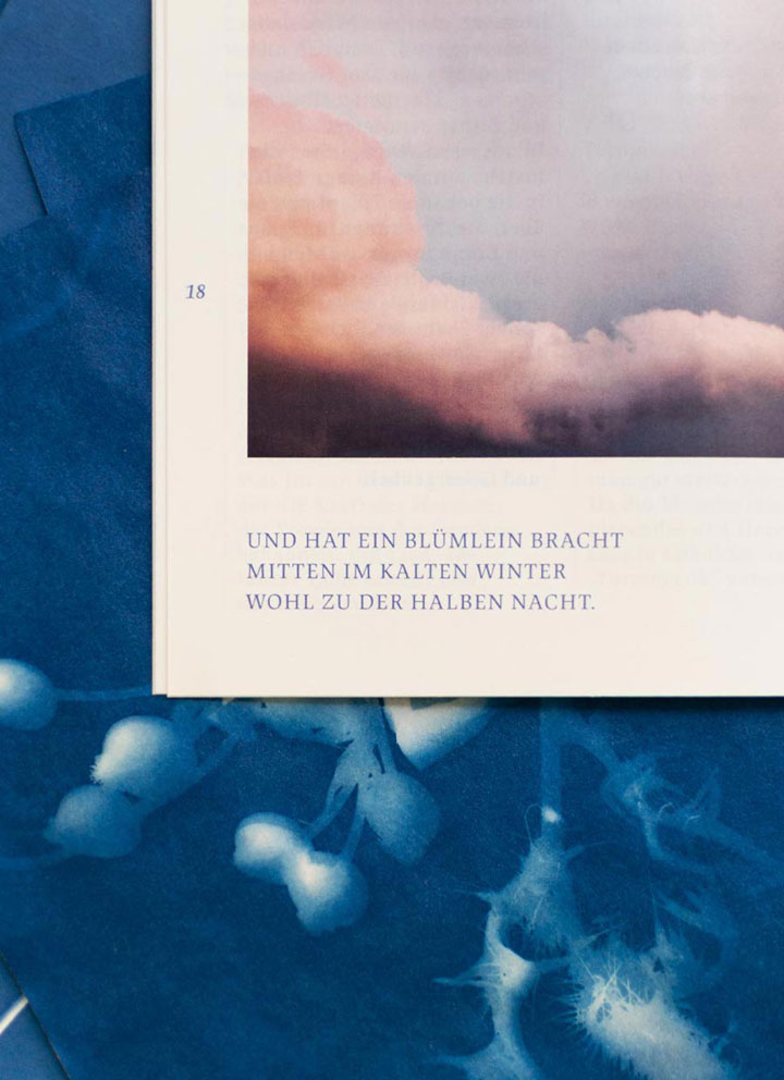 The Graphic Society: stü