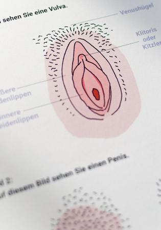 the graphic society - design and illustration - project image