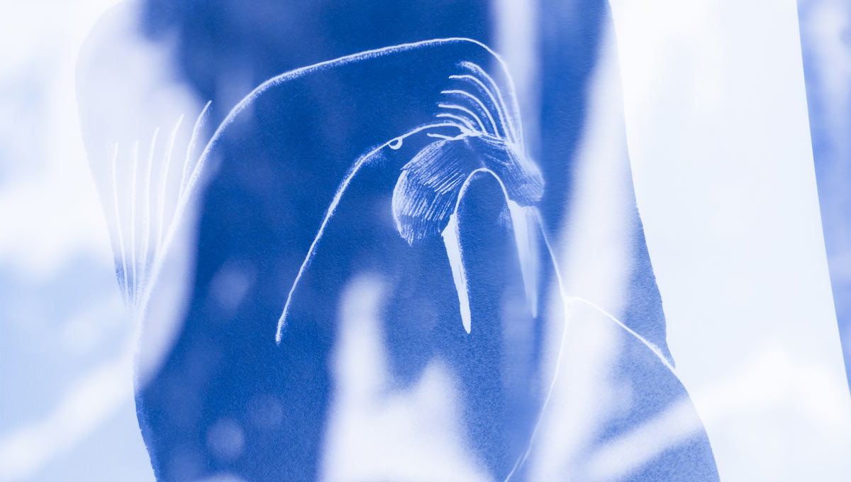 the graphic society - design and illustration - project image