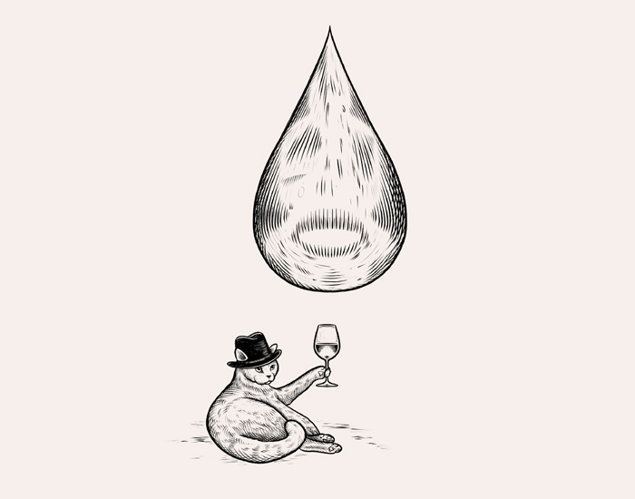 the graphic society - design and illustration - project image