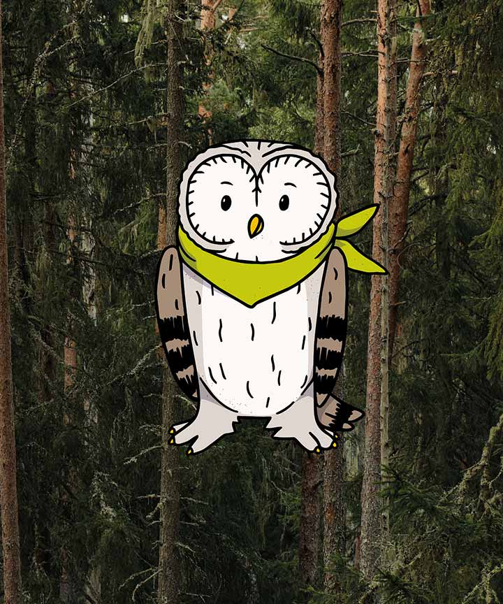 The Graphic Society: Titelbild Haus der Wildnis — Habi