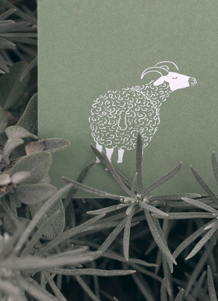 the graphic society - design and illustration - project image