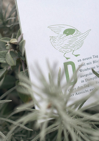 the graphic society - design and illustration - project image