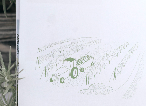the graphic society - design and illustration - project image