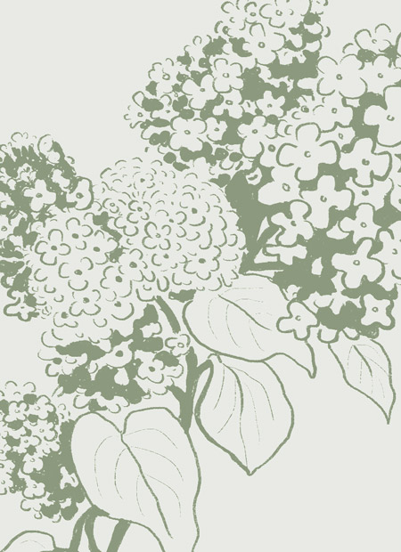 the graphic society - design and illustration - project image
