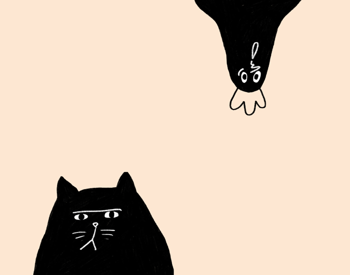 the graphic society - design and illustration - project image